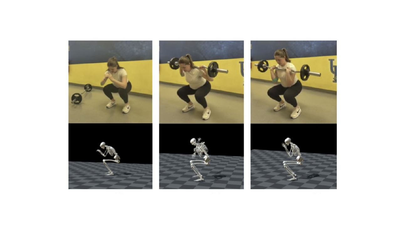 Squat variations with OpenCap motion capture reconstruction