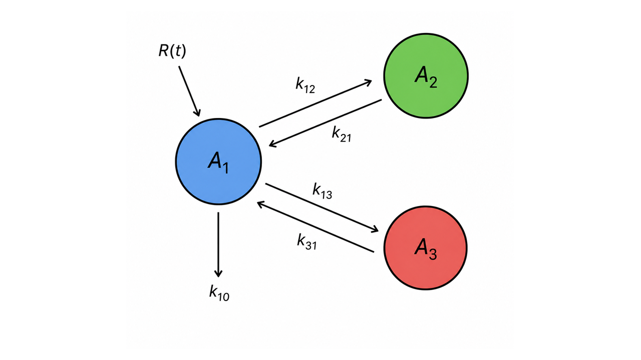 Three-compartment pharmacokinetic model schematic
